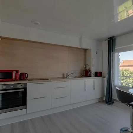 Le Franklin Appartement Saint-Etienne  Buitenkant foto